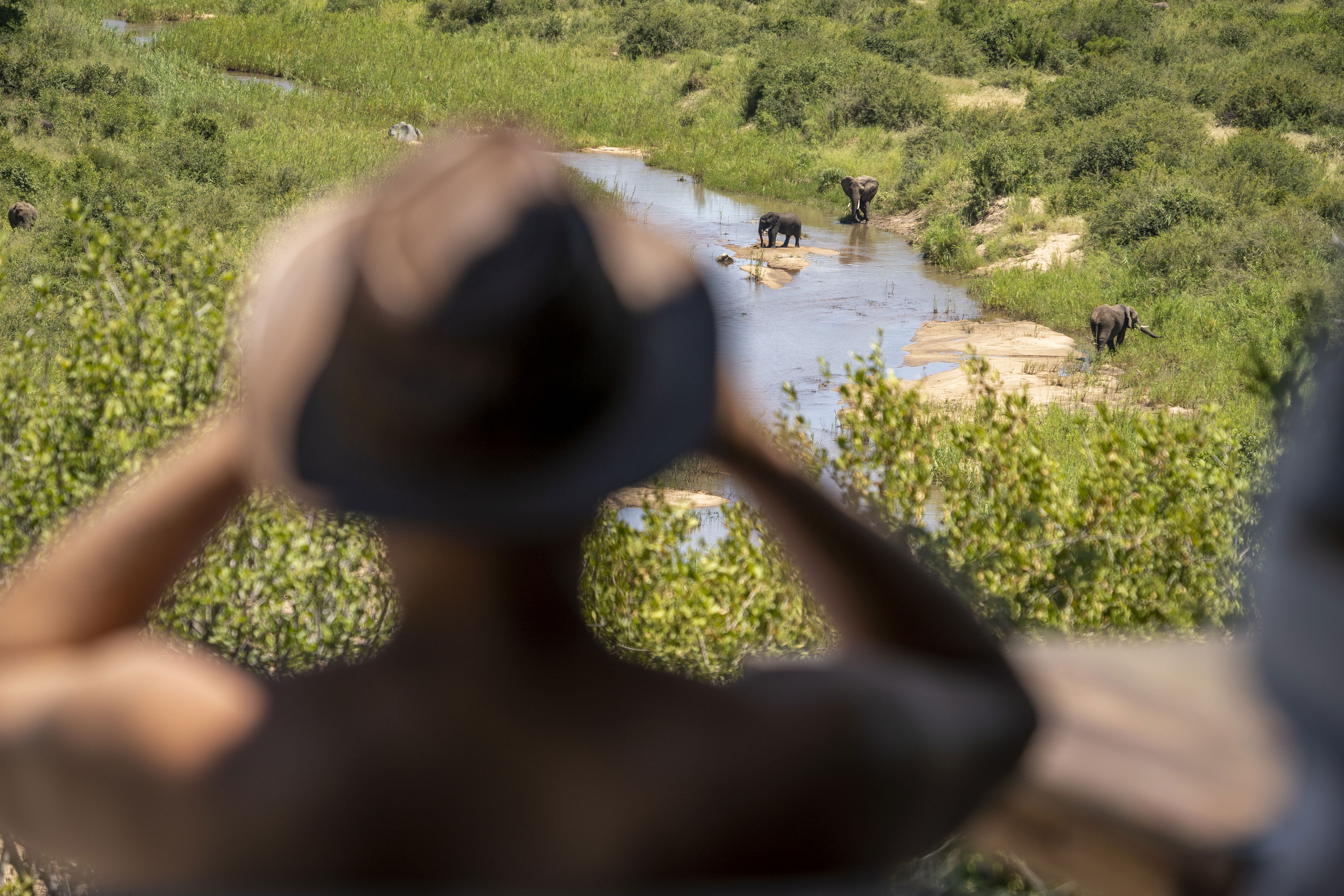 viewing deck with elephant and big 5