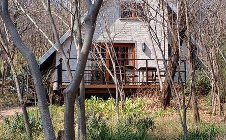 Loft Cabin