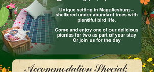 Spring Accommodation Special