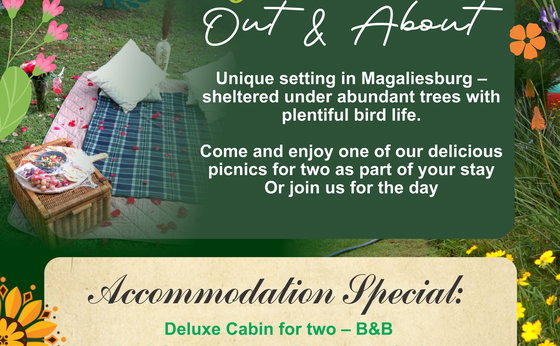 Spring Accommodation Special
