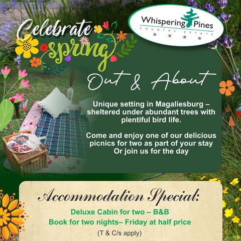 Spring Accommodation Special