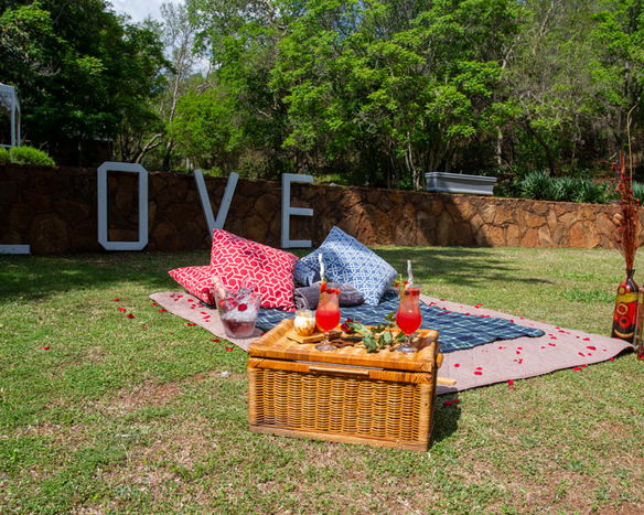 Special Events and Celebrations