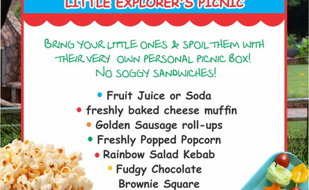 Kid's Picnic