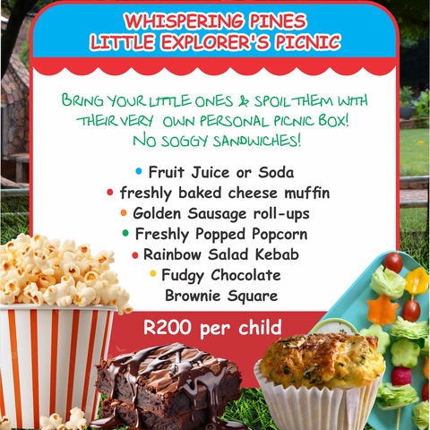 Kid's Picnic