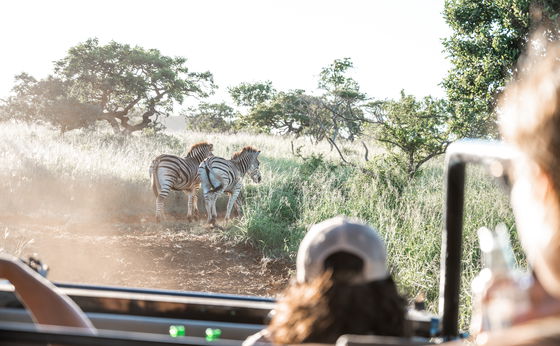 Festive Season Special