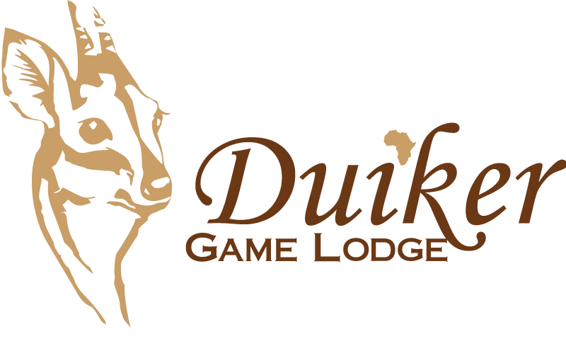Duiker Game Lodge Accommodation in Hluhluwe, KZN South Africa