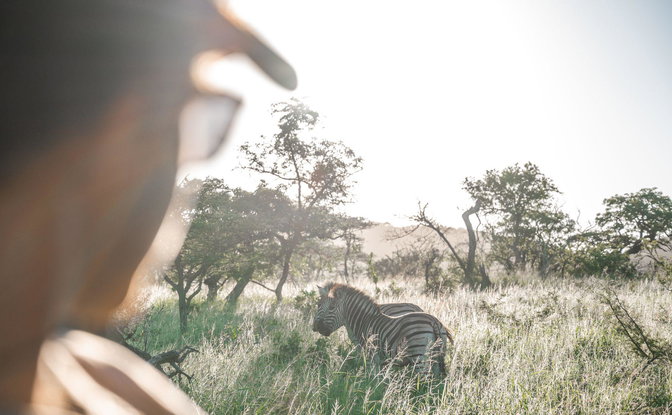 Things to do and see during your stay