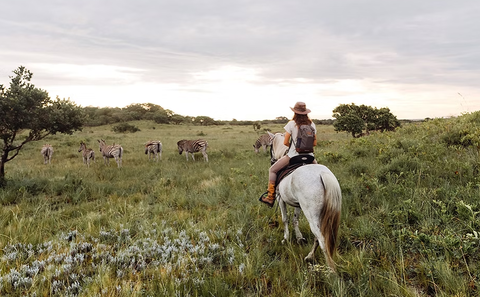 Horse safaris, Beach, Bush