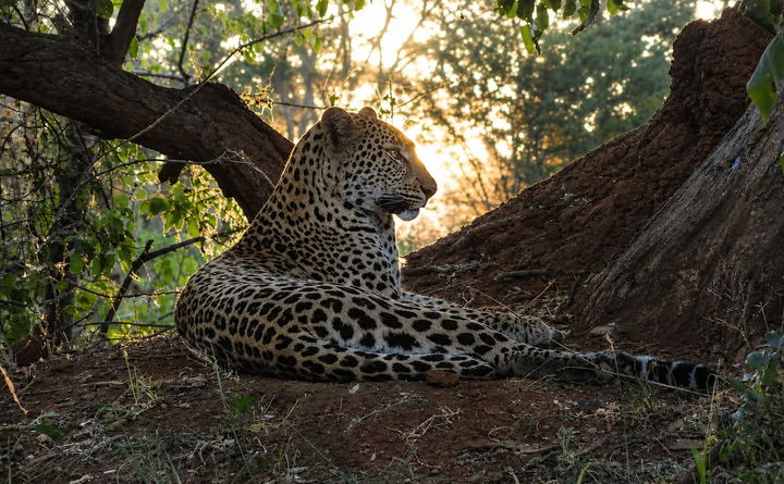 Big 5 all-inclusive package deal at Duiker Game Lodge in Hluhluwe KZN