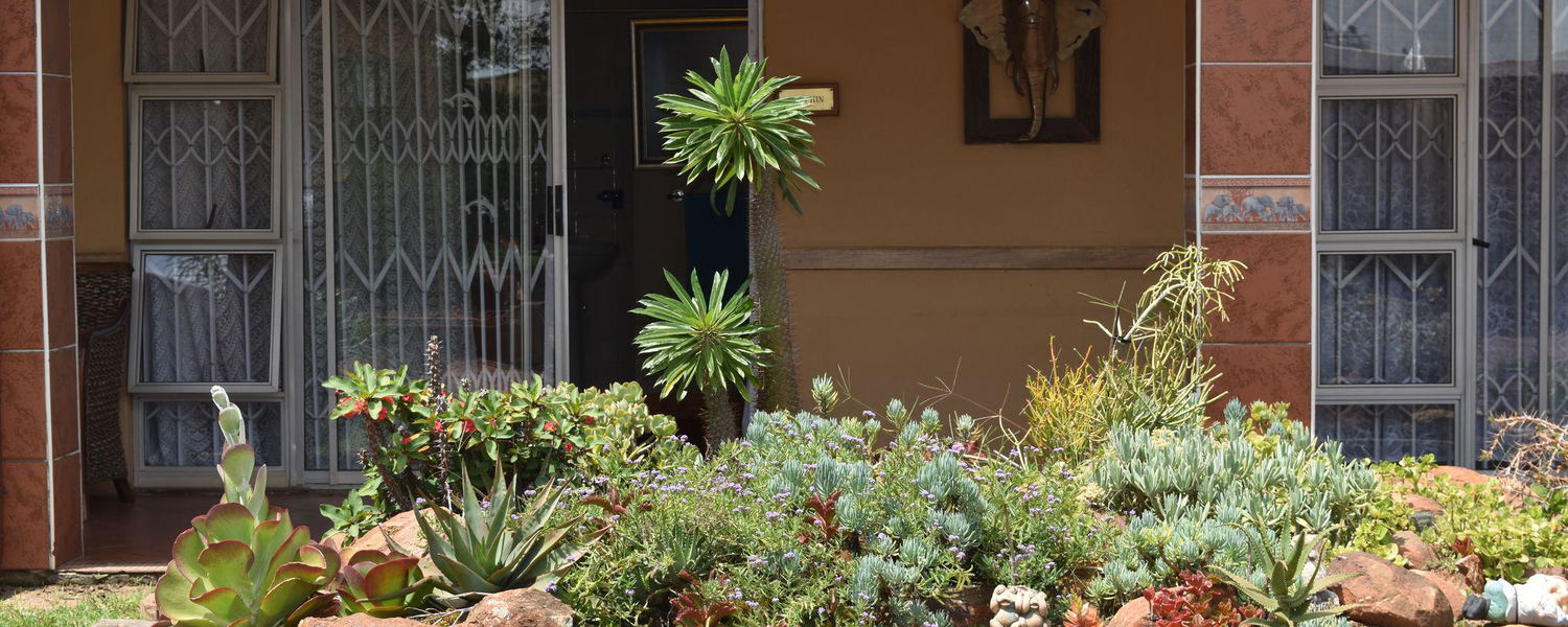 A well-maintained rock garden filled with various succulents and green shrubs stands in front of a house entrance featuring glass sliding doors and security gates