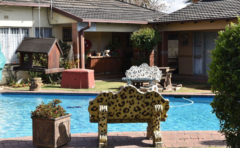 A sunny residential backyard features a blue swimming pool in the foreground, bordered by an ornate leopard-print bench, a grassy lawn, and a house with a covered patio in the background A sunny residential backyard features a blue swimming pool in the foreground, bordered by an ornate leopard-print bench, a grassy lawn, and a house with a covered patio in the background