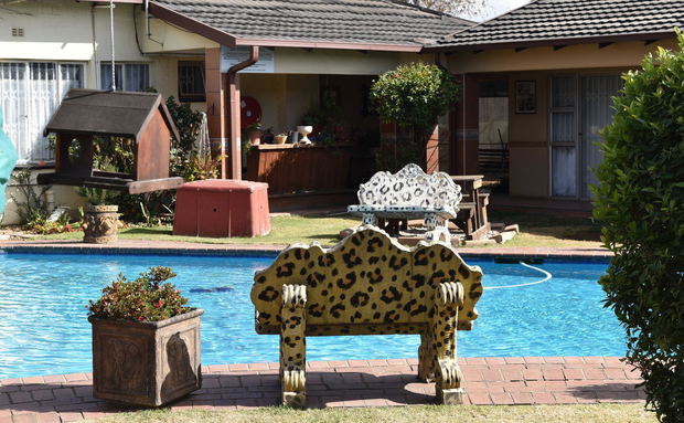 A sunny residential backyard features a blue swimming pool in the foreground, bordered by an ornate leopard-print bench, a grassy lawn, and a house with a covered patio in the background
