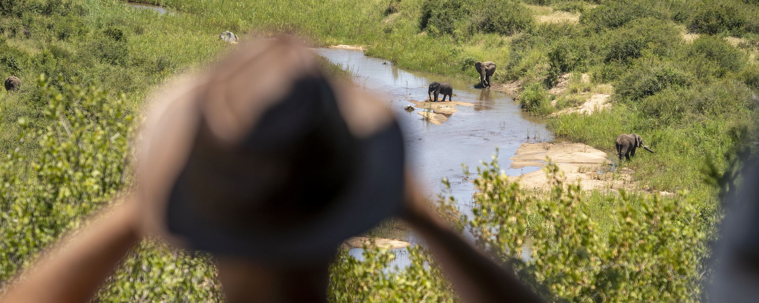 viewing deck with elephant and big 5