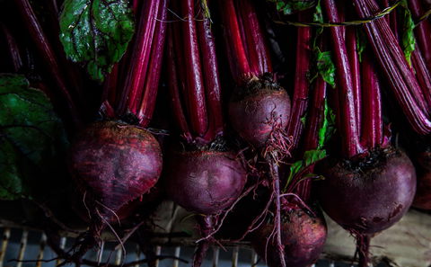Organic Farm grown Beetroot in Swellendam, available from the Earth Centre
