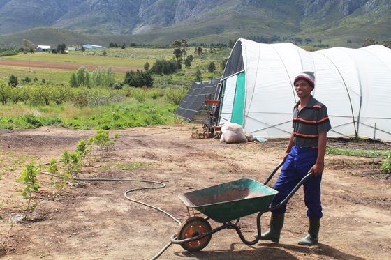 weltevrede flowers, schoone oordt, swellendam