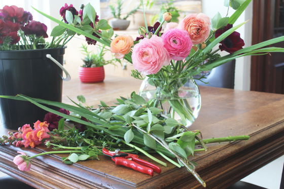 weltevrede flowers, schoone oordt, swellendam weltevrede flowers, schoone oordt, swellendam