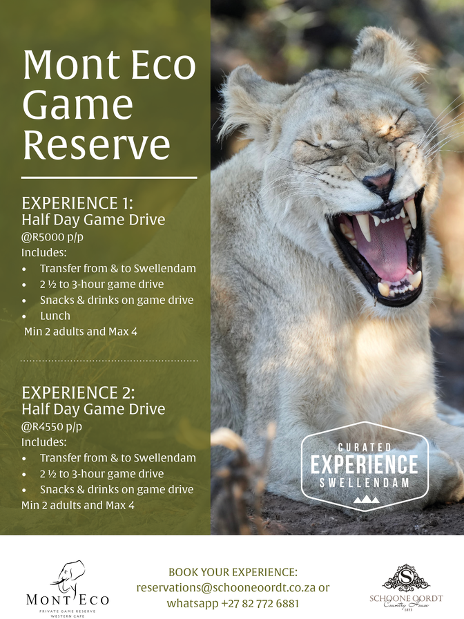 Experience a Big 5 Game Drive from Swellendam