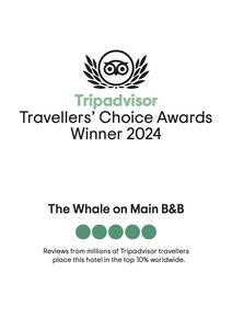Tripadvidsor 2024