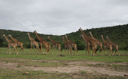 Kenya, Tanzania & Zanzibar