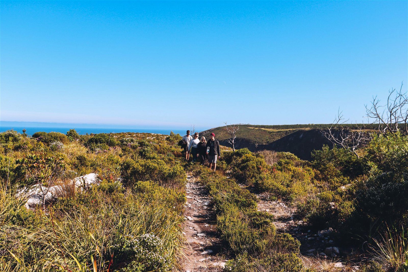 Explore with us