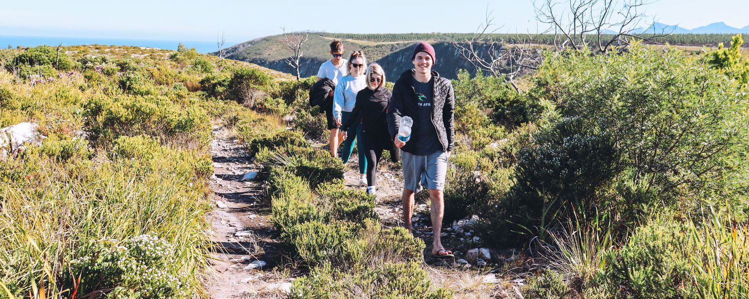 Guided Hikes