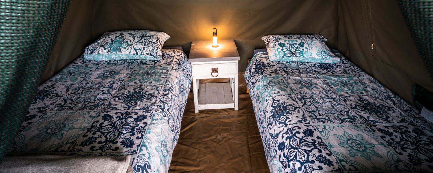 Accommodation