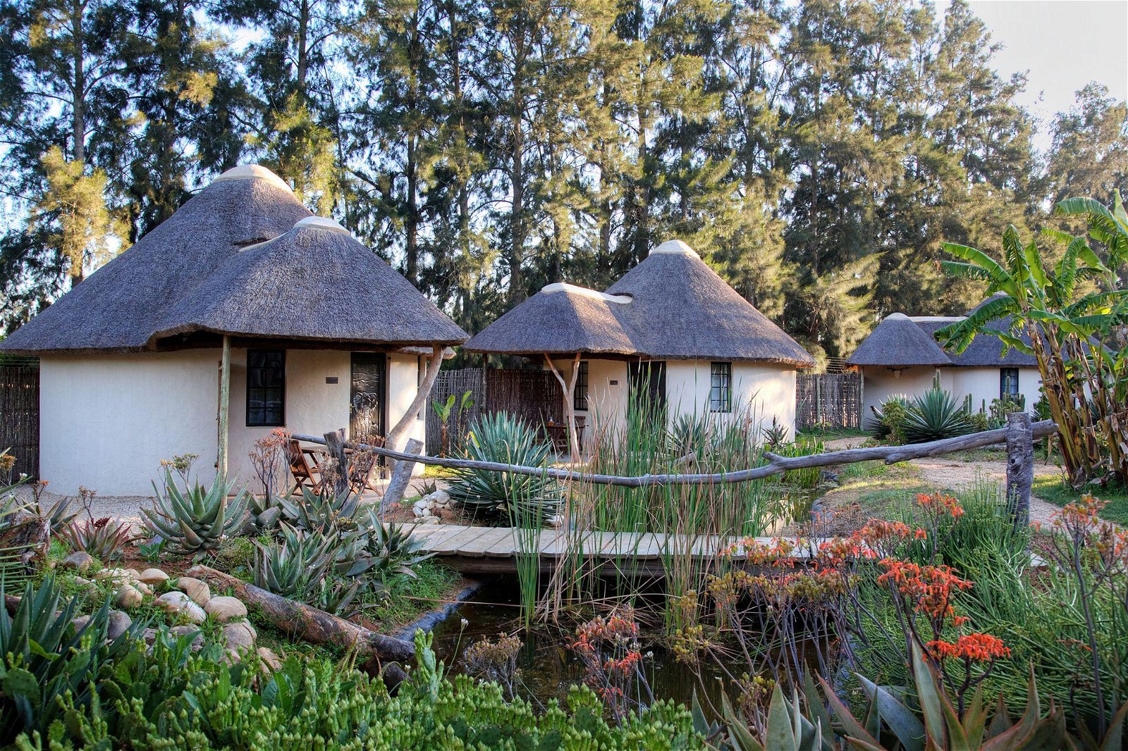 Your Green Escape in South Africa