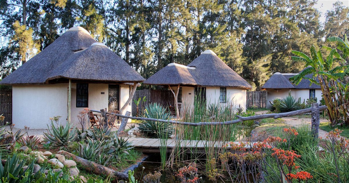 Addo African Home, Restaurant & Safari
