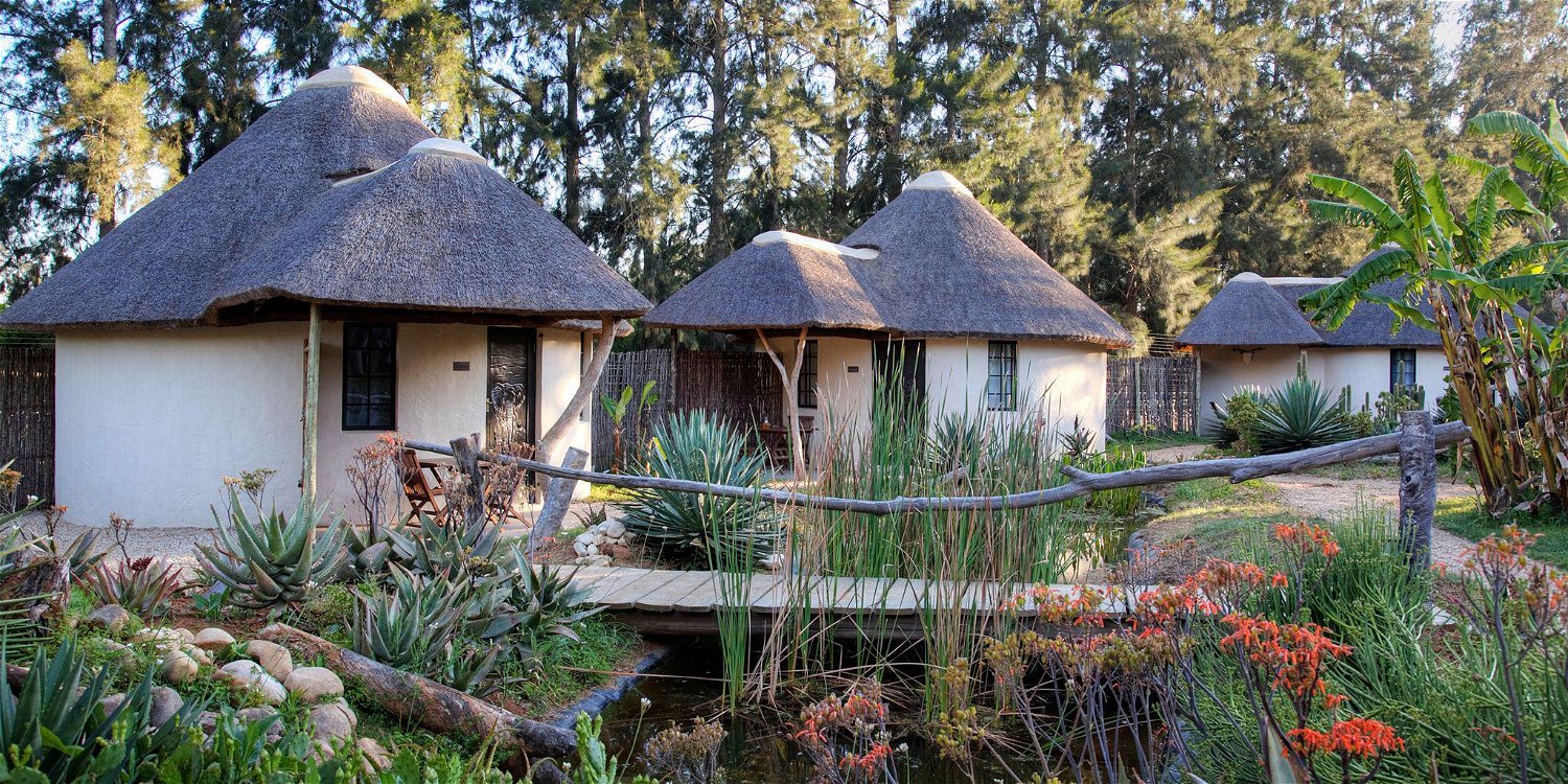 Your Green Escape in South Africa