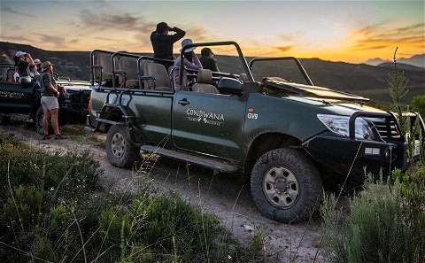 Game Drive at Gondwana Private Game Reserve