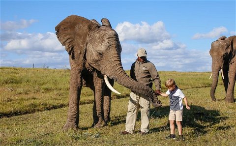 Elephant Park - Knysna