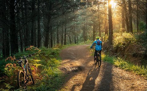 Mountain Biking