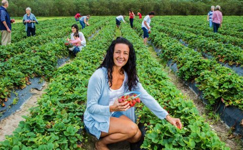 Visit Red Berry Farm