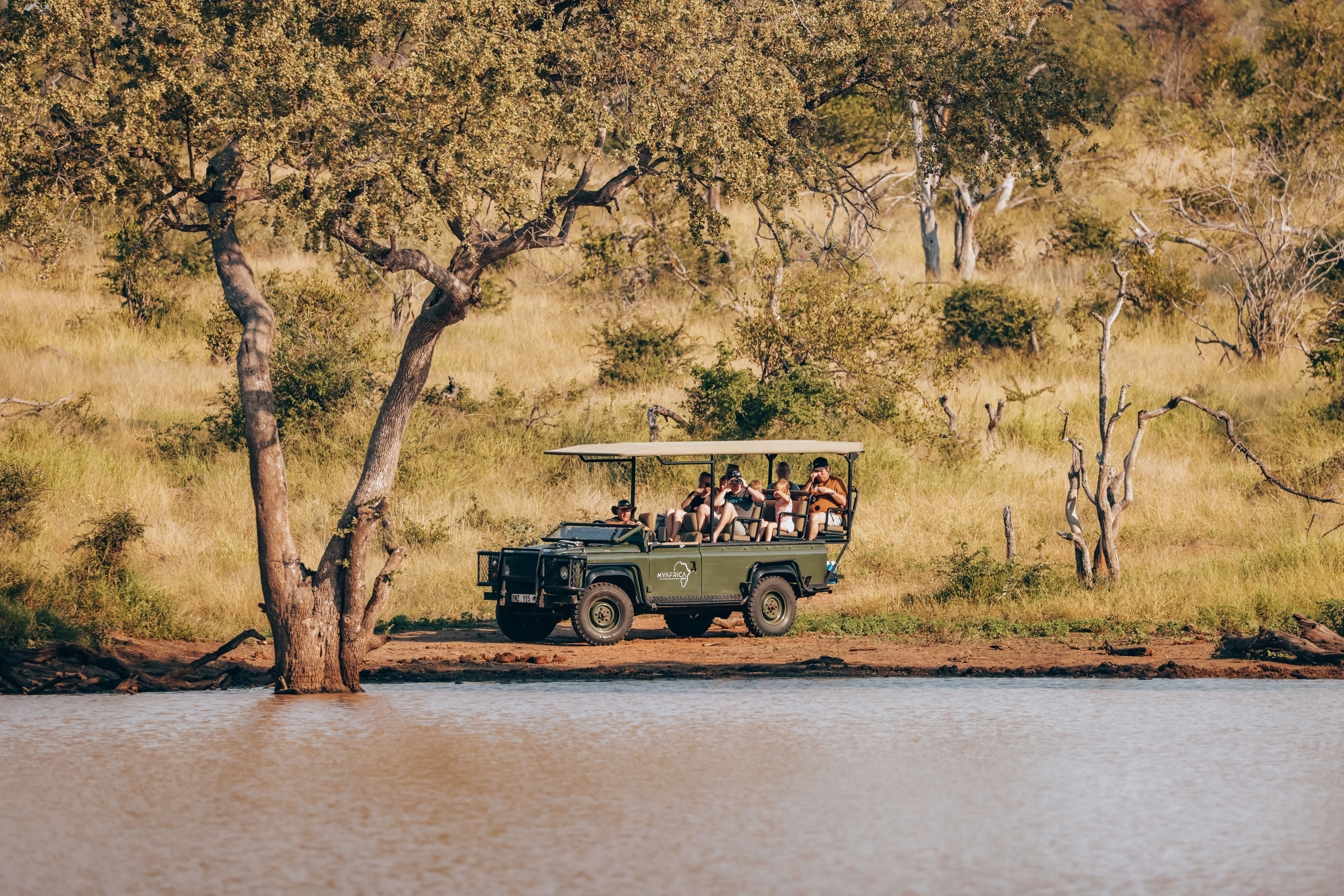 Game drive in Hoedspruit