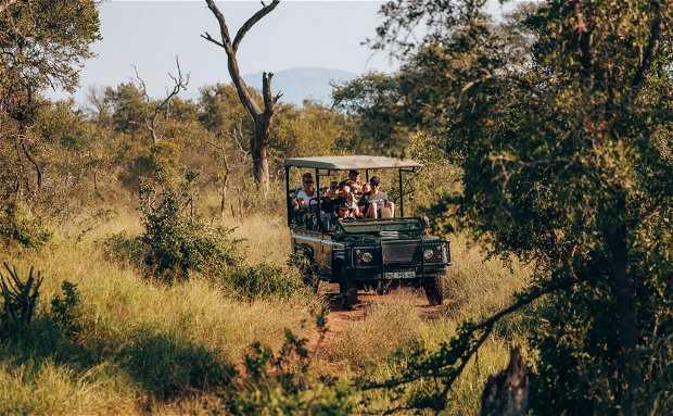 game drive in Hoedspruit