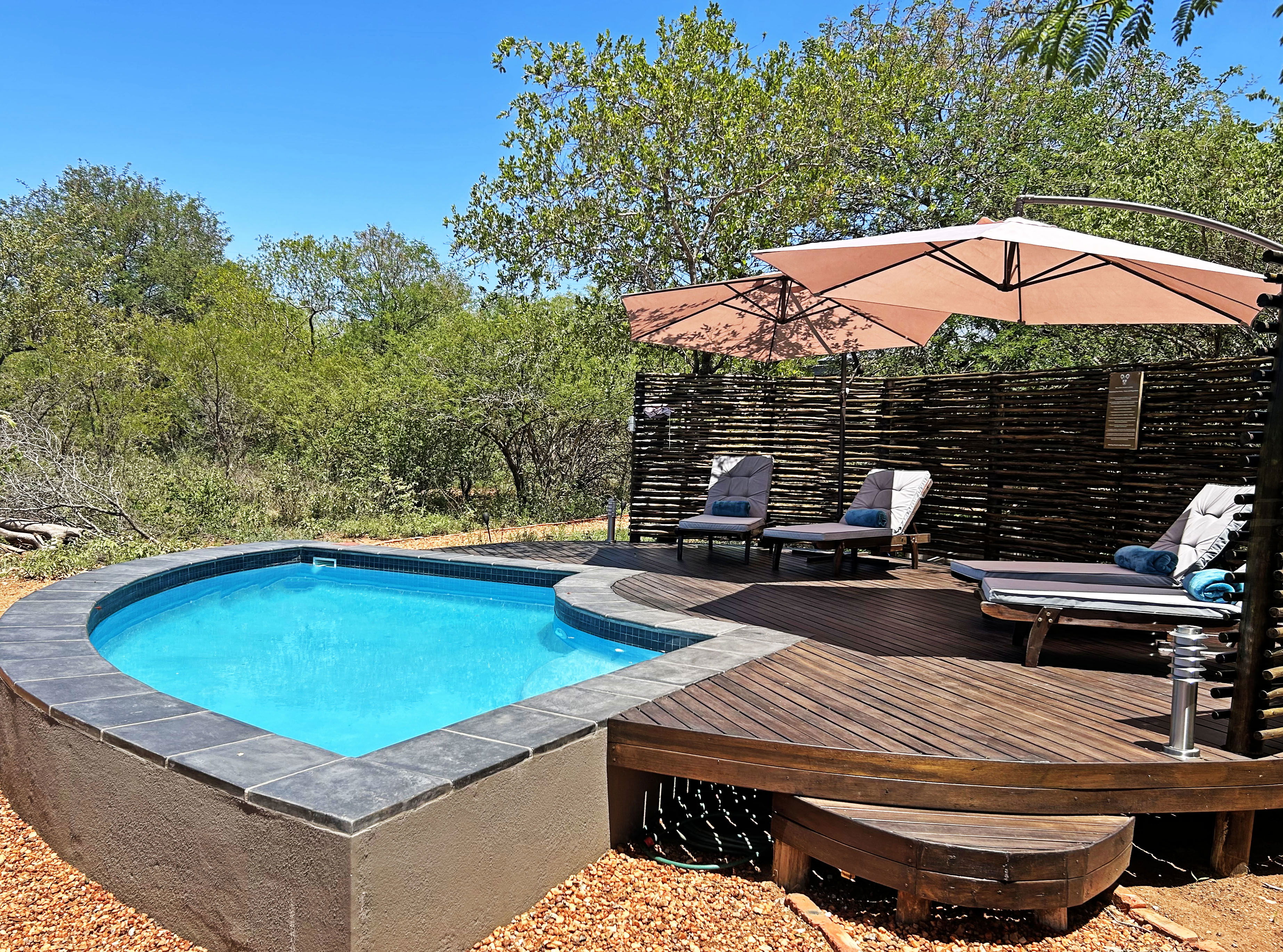 Swimming pool in Hoedspruit