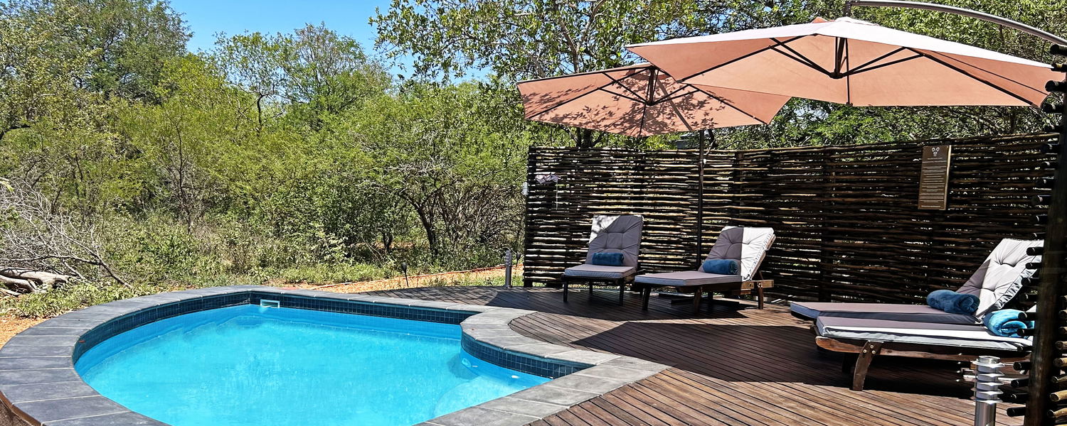 Swimming pool in Hoedspruit