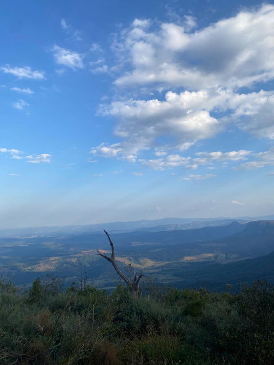 God's Window, Graskop