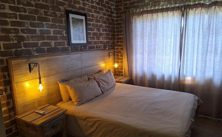 Family Unit - Cheetah