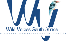 Wild Voices SA | Eastern Cape Wildlife Care