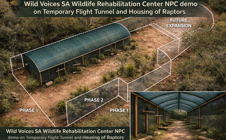 Raptor, Flight Tunnels, Wildlife Rehabilitation, Donations, Help needed, East London, Eagles, Falcons, Eagle, Falcon, Birds of South Africa, Enclosures, Wild Voices SA, Tunnels, Phases, Steps, Outside, Nature