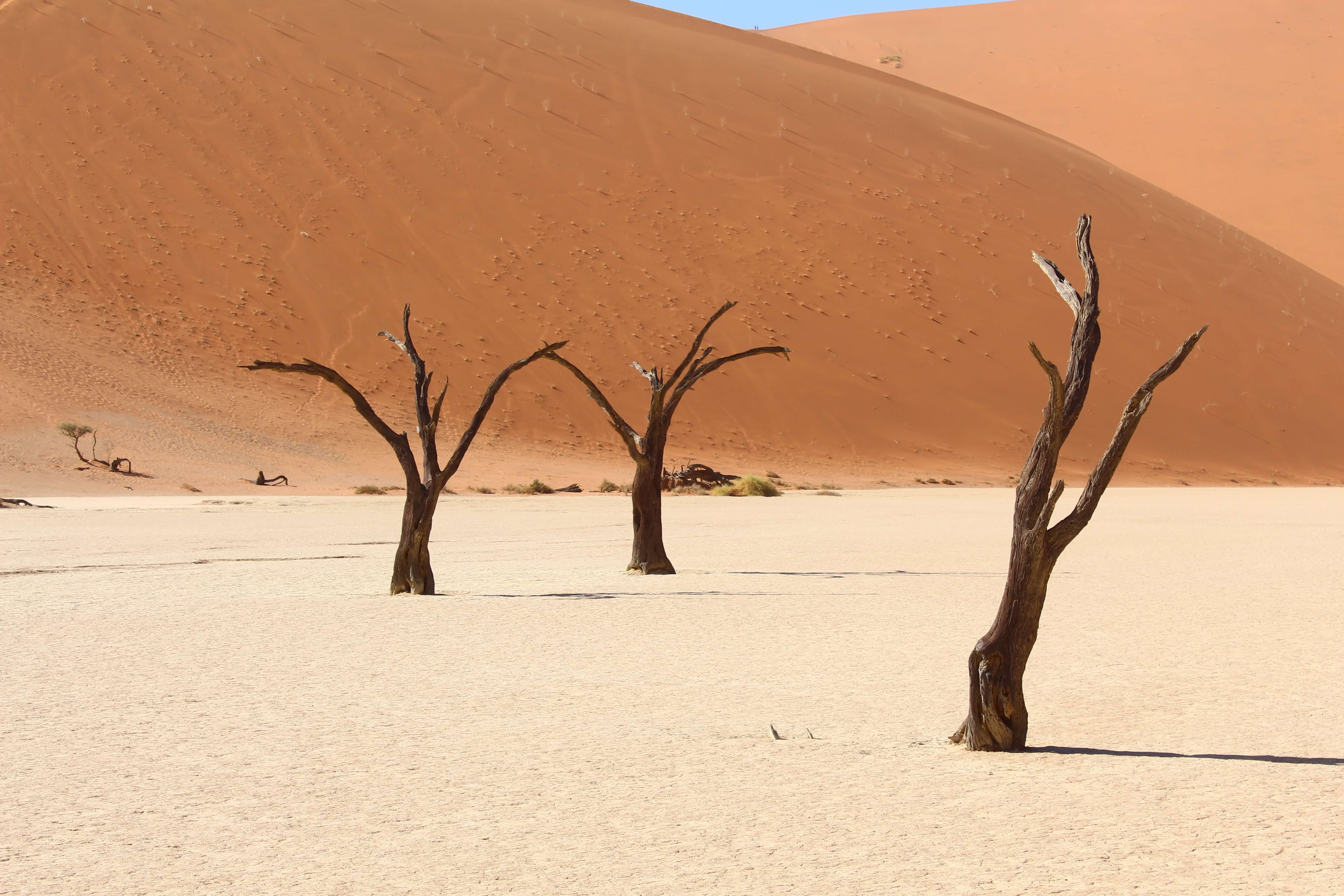 Sossusvlei Namibia