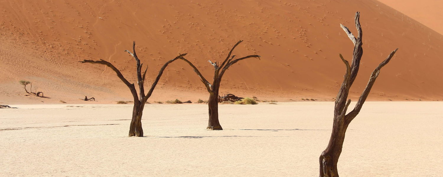 Sossusvlei Namibia