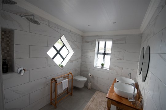 Shower basin and toilet