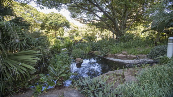 Gardens