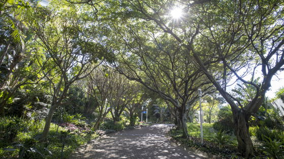Gardens
