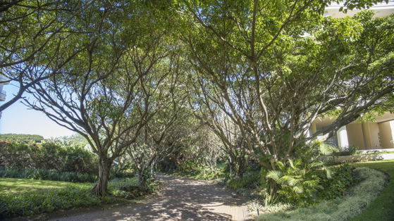 Gardens