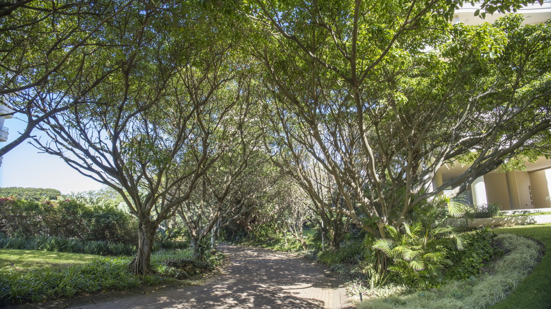 Gardens