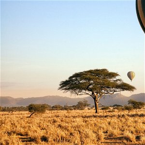 Tailor-made Tours in Tanzania