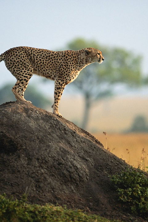 Kenya